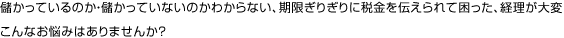 儲かっているのか・儲かっていないのかわからない、期限ぎりぎりに税金を伝えられて困った、経理が大変
こんなお悩みはありませんか？