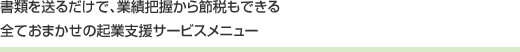 書類を送るだけで、業績把握から節税もできる全ておまかせの起業支援サービスメニュー