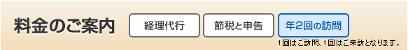 料金のご案内 経理代行 節税と申告 年2回の訪問
